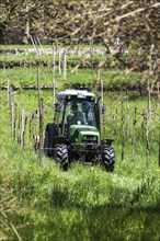 Farmer with his tractor at work among the vineyards on the hillside