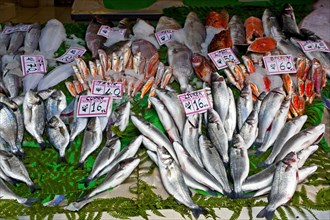 Fish Market in the Karakoey district
