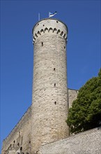 Tower of the Castle on Domberg
