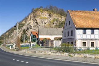 Historic wine cellar Zur Alten Bosel and Schabeborn Winery