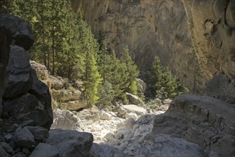 Hiking trail