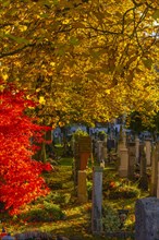 Old cemetery