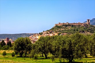 Bosa with olive grove and Castello
