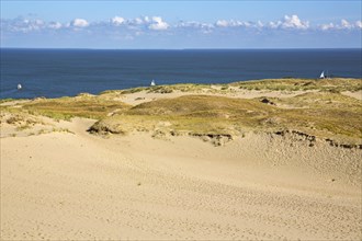 Dune Landscape