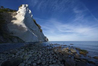 Mons Klint chalk cliff