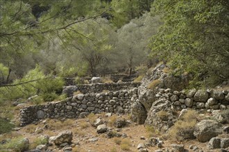 Ruins of the settlement of Samaria