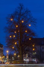 Tree with illuminated stars at blue hour