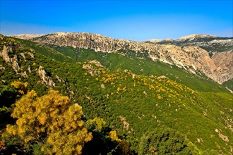 Parco Nazionale del golfo di Orosei