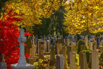 Old cemetery