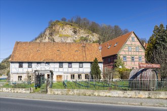 Historical wine cellar Zur Alten Bosel and Boselhof