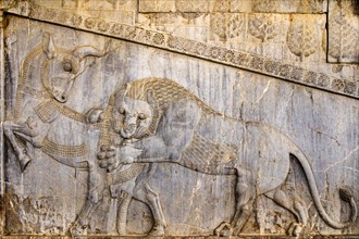 Relief Lion fighting with bull