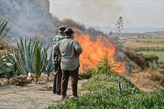 Old couple observes bush fire in Mediterranean garden