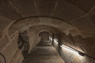 Historic staircase leading down to the vaulted cellar of the former Pellerhaus