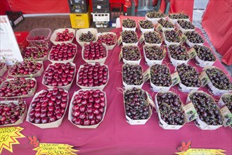 Various types of cherries for sale