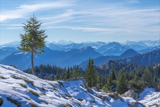 Alpine panorama