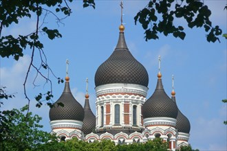 Alexander Nevsky Cathedral on Domberg