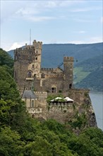 Rheinstein Castle near Trechtingshausen