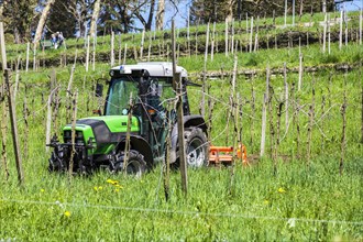 Farmer with his tractor at work among the vineyards on the hillside