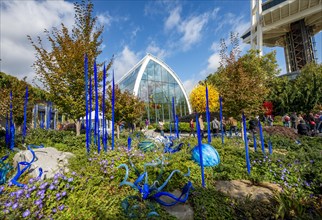 Sculpture garden with colourful glass artworks by Dale Chihuly