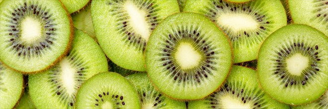 Kiwi fresh fruit kiwis fruit fruit background from above panorama