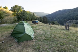 Green tent on dry summer meadow