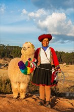 Inca woman with alpaca