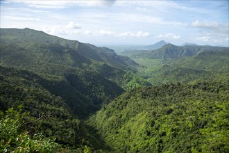 Black River Gorges National Park