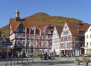 Town hall and market square with half-timbered houses