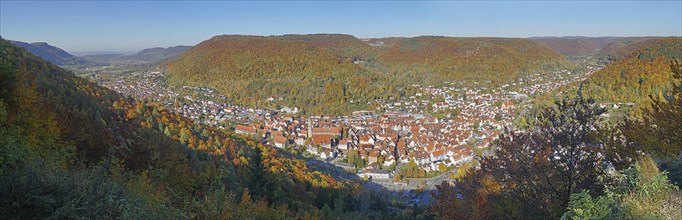 Panoramic view of old town with half-timbered houses and autumnal forest