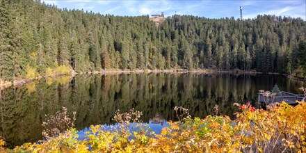 Mummelsee and mountain Hornisgrinde in Black Forest landscape nature in autumn panorama in Seebach