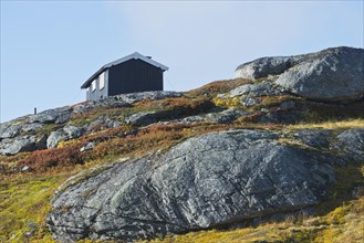 Cabins in the Fjell