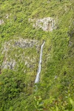 Waterfall in Black River Gorges National Park