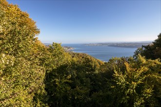 View in sunshine and autumn leaves from Haldenhof