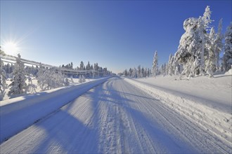 Snow covered road in winter
