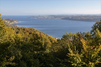 View in sunshine and autumn leaves from Haldenhof