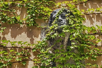 Relief of a young man's head surrounded by wild wine on the wall of the Park-Cafe