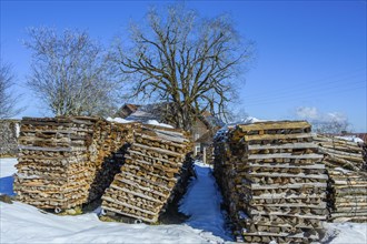 Wood pile in the snow near Hellengerst
