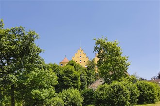 Erbach Castle of the Barons of Ulm-Erbach