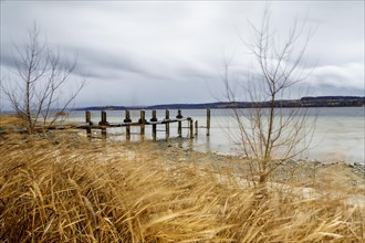 Stormy winter weather at Lake Constance
