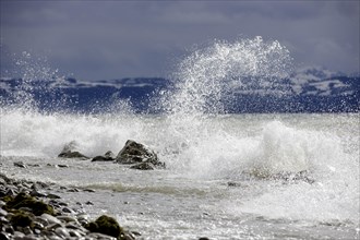 Storm Lolita raging on the stony shore in Hagnau