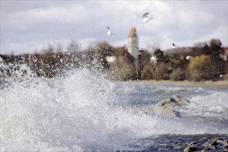 Storm Lolita whips waves against the stony shore in the background Hagnau