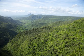 Black River Gorges National Park