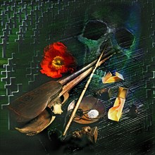 Photomontage