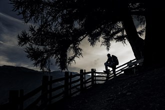 Old fence with mountaineer and large tree as silhouette at sunset