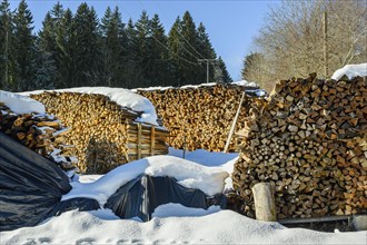 Snow-covered wood piles near Hellengerst