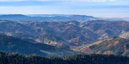 Black Forest Mountains Landscape Nature in Autumn Panorama in Seebach