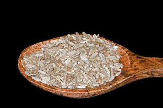 Fennel seeds lying in a wooden spoon