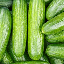 Cucumbers Cucumber Vegetable Background from above square