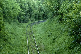 Single-track overgrown railway line