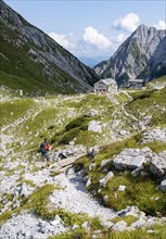 Hikers on a hiking trail